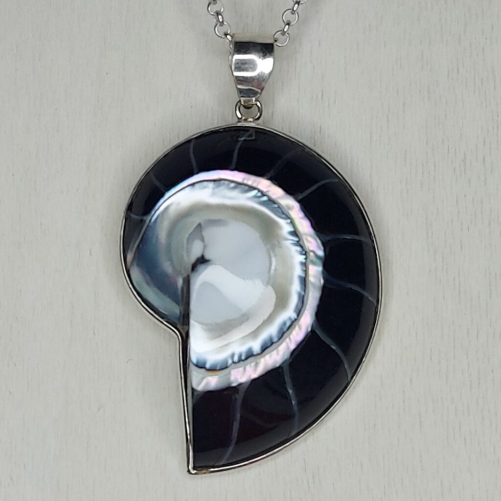 Black Nautilus Shell & Sterling Silver Small Pendant