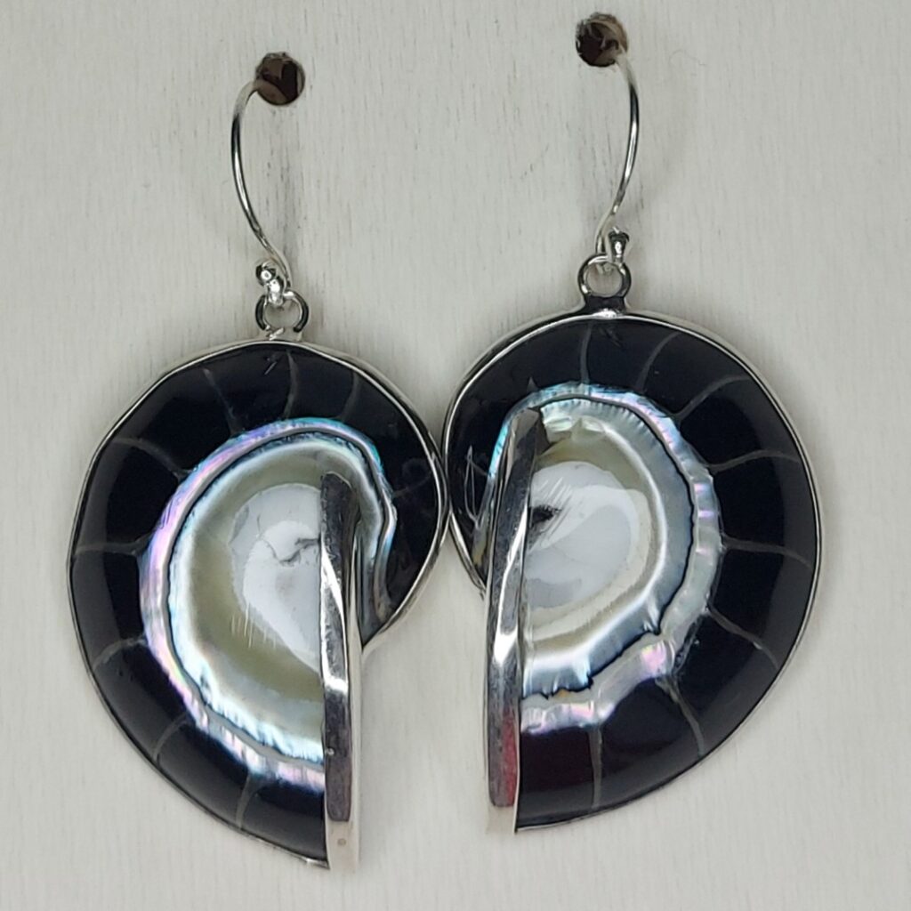 Black Nautulis Shell & Sterling Silver Earrings