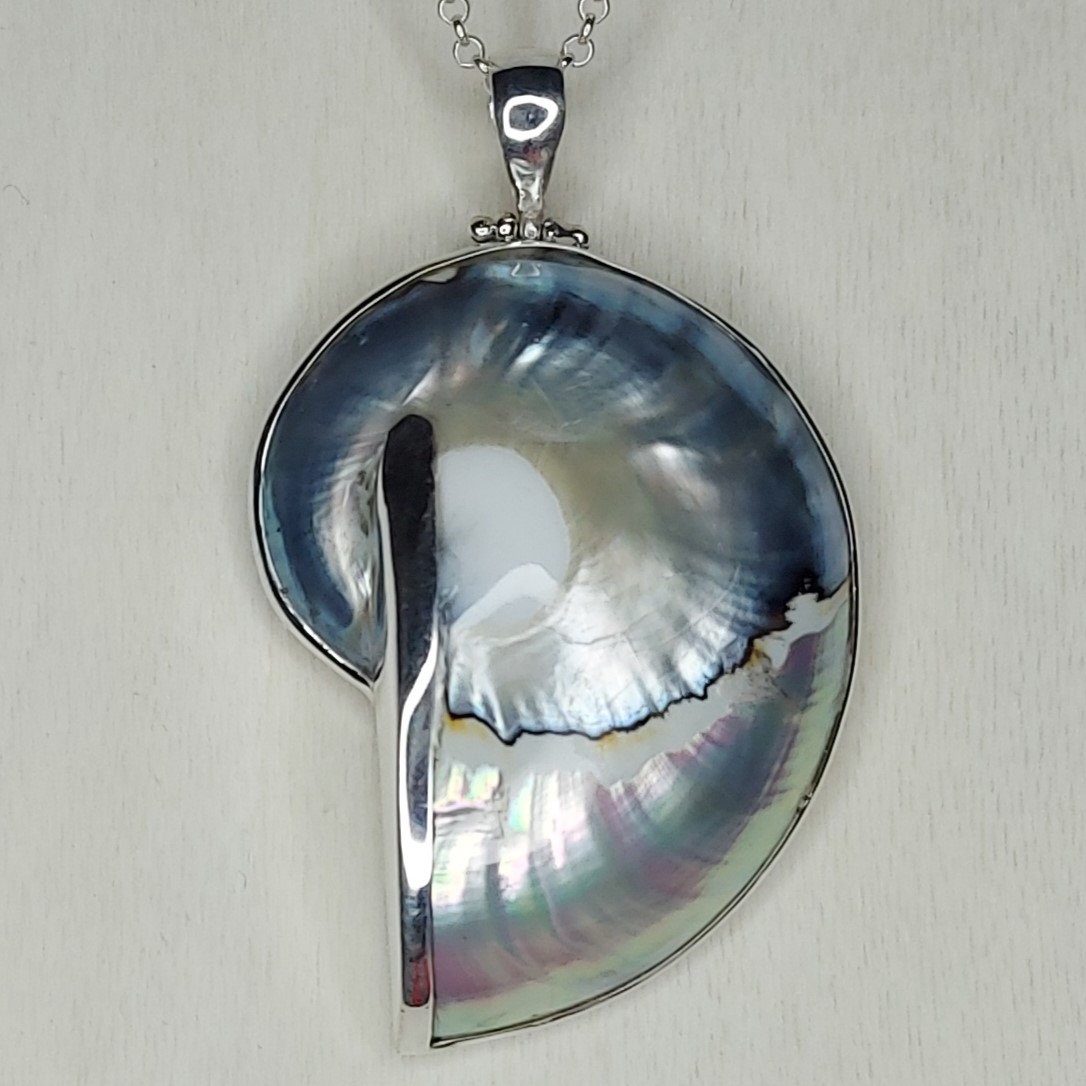 Blue & White Nautilus Shell & Sterling Silver Medium Pendant